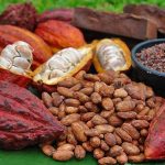Afirman que el CONIAF ‘ha sacado del letargo’ a  los subsectores de café y cacao del país