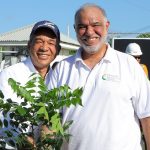 Inicia programa de siembra de un millón de árboles de caoba en Peravia y Punta Catalina