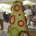 Promoverán reciclaje con concurso navideño en 17 municipios y 30 sectores del D.N.