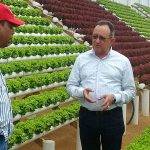 Implementan medidas preventivas para garantizar producción de vegetales en Rancho Arriba