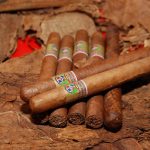 República  Dominicana es invitada  de honor  en la  International Cigar  Export  de  Shenzhen