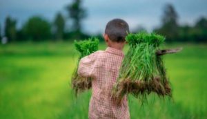 RD avanza en la eliminación del trabajo infantil
