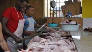 Autoridades agropecuarias y avícolas garantizan abundancia de pollo en Navidad y Año Nuevo 