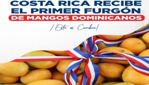 Llega a Costa Rica primer furgón de mangos dominicanos